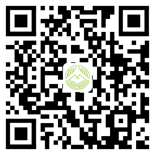 手機(jī)網(wǎng)站